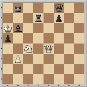 el caballo con su singular movimiento se roba el protagonismo. Gran Maestra de ajedrez